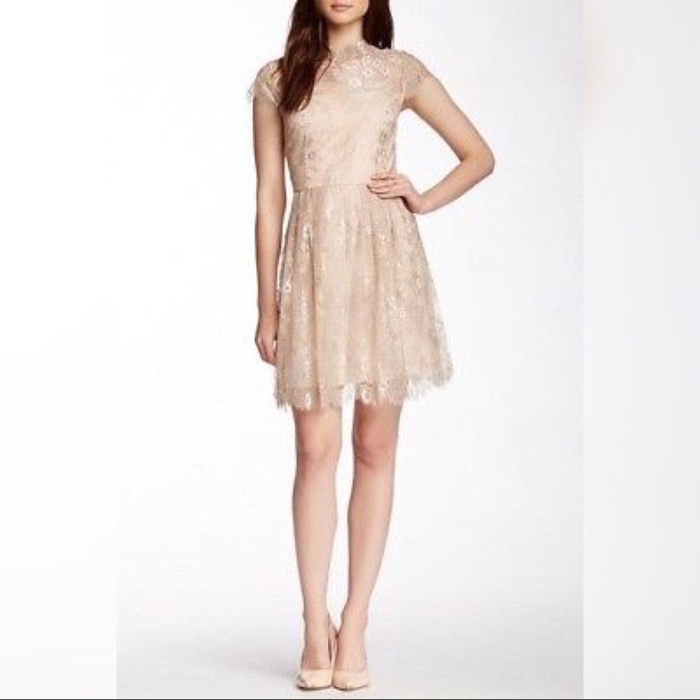 NWT Cynthia Steffe lace dress with semisheer yoke